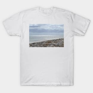 South from Key West T-Shirt